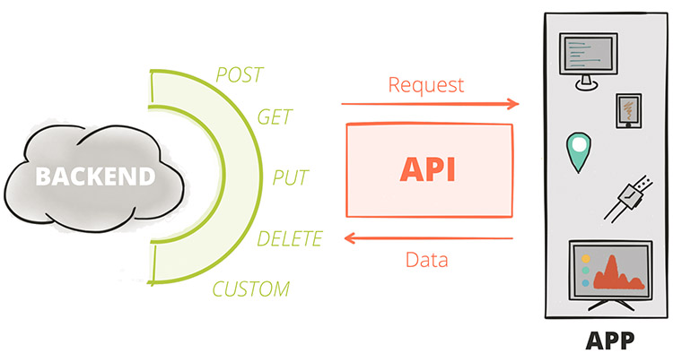 How to fetch API data in R and Python